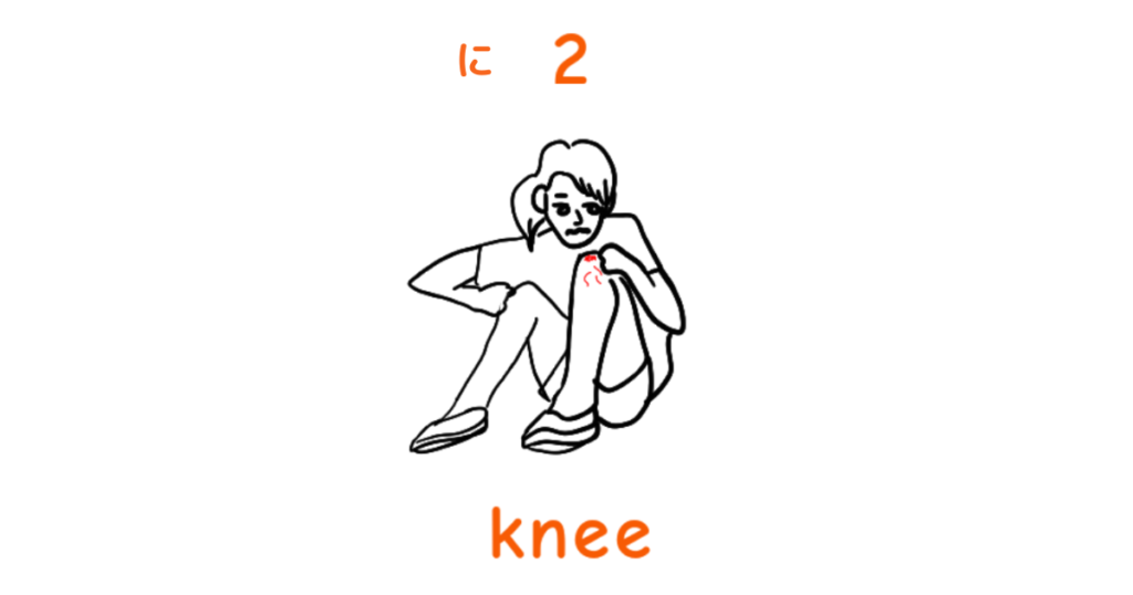 mnemonic ni knee